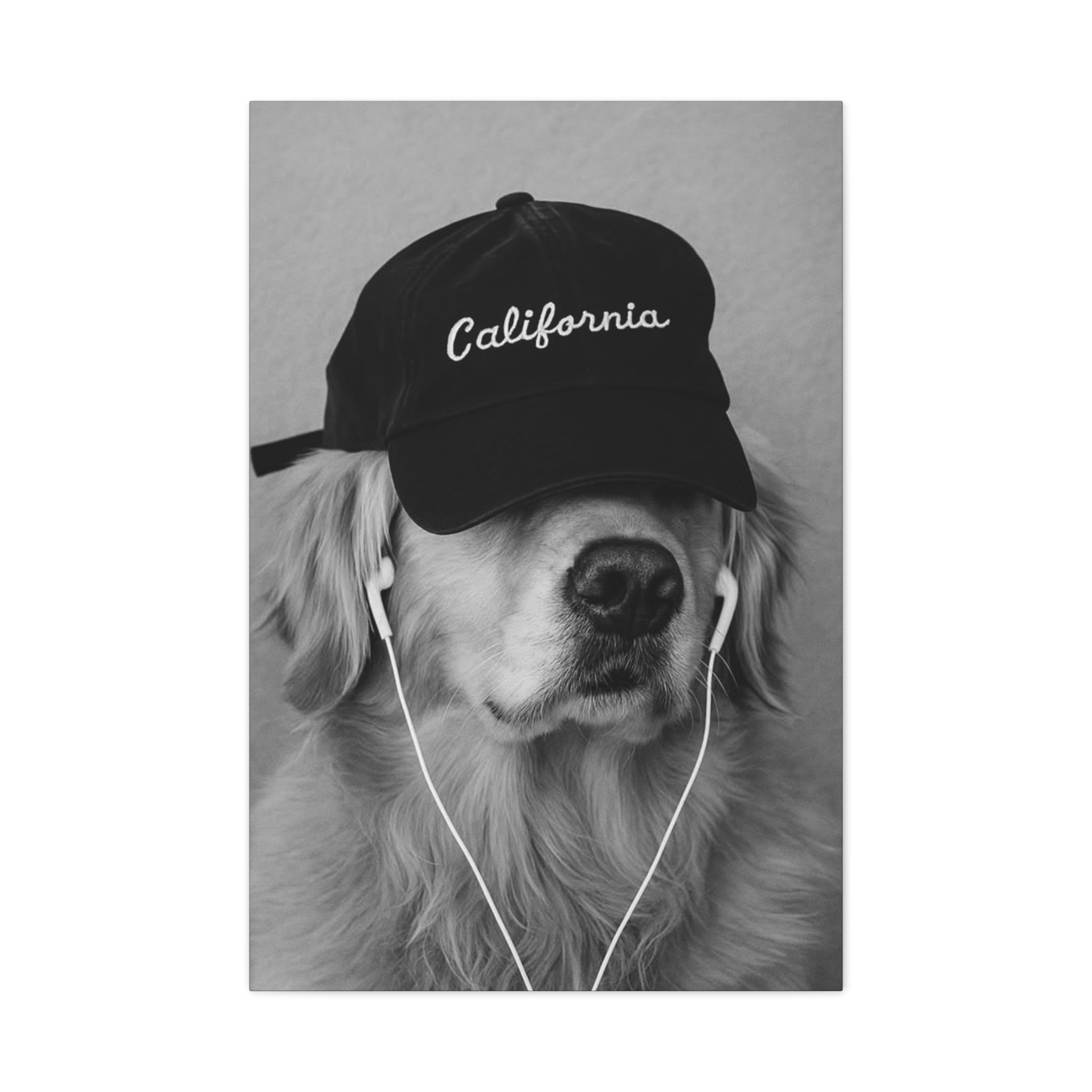 Golden Retriever Wall Art - 'California' Cap Black & White Matte Canvas