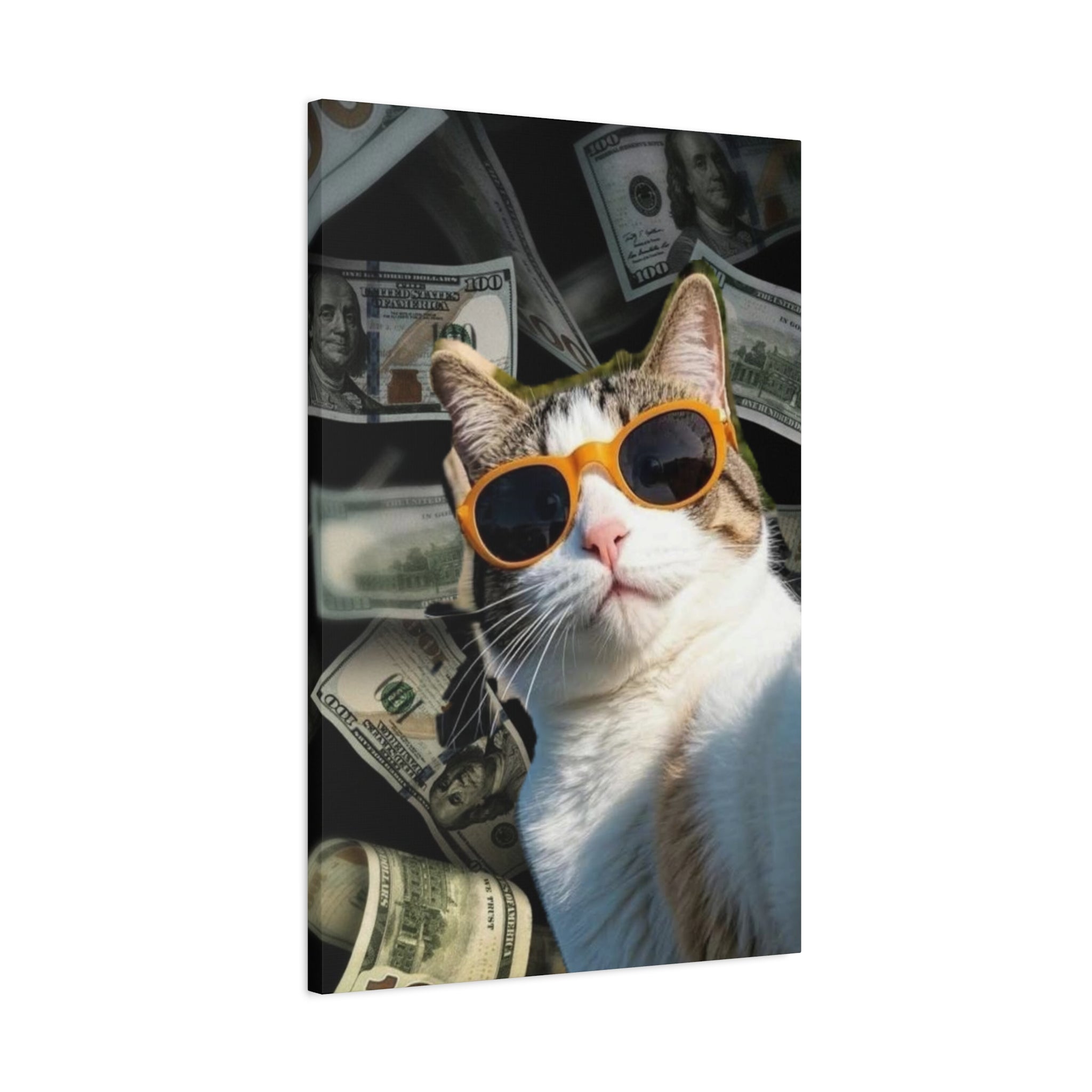 Cool Cat with Sunglasses Canvas Print — Money Background Matte Stretched Wall Art