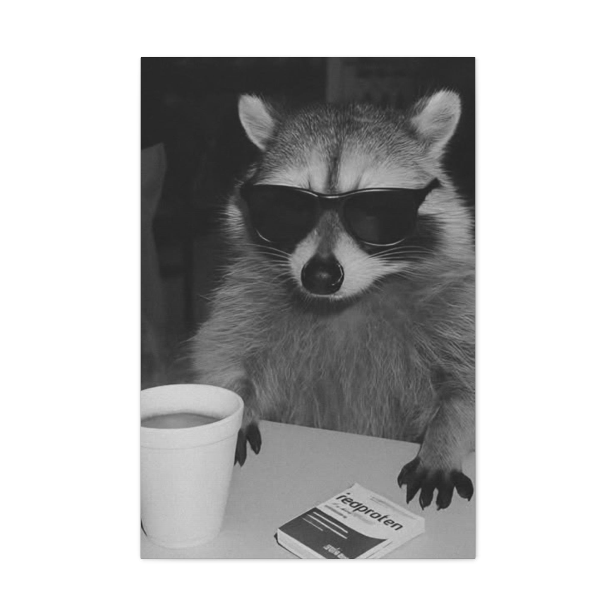 Cool Raccoon Wall Art Canvas – Black & White Sunglasses Photo Print