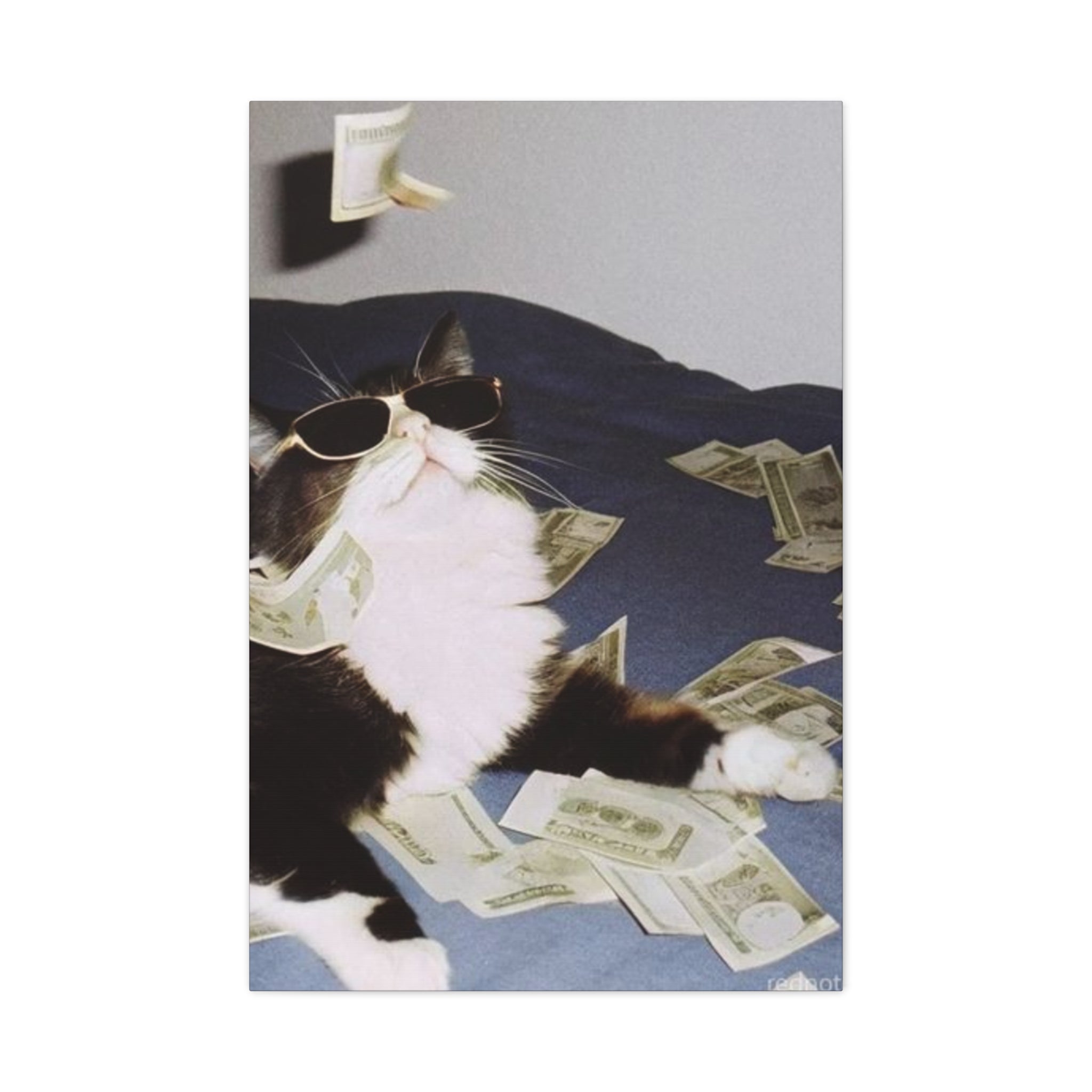 Cool Cat with Money Canvas Print – Funny Cat Wall Art for Home & Office