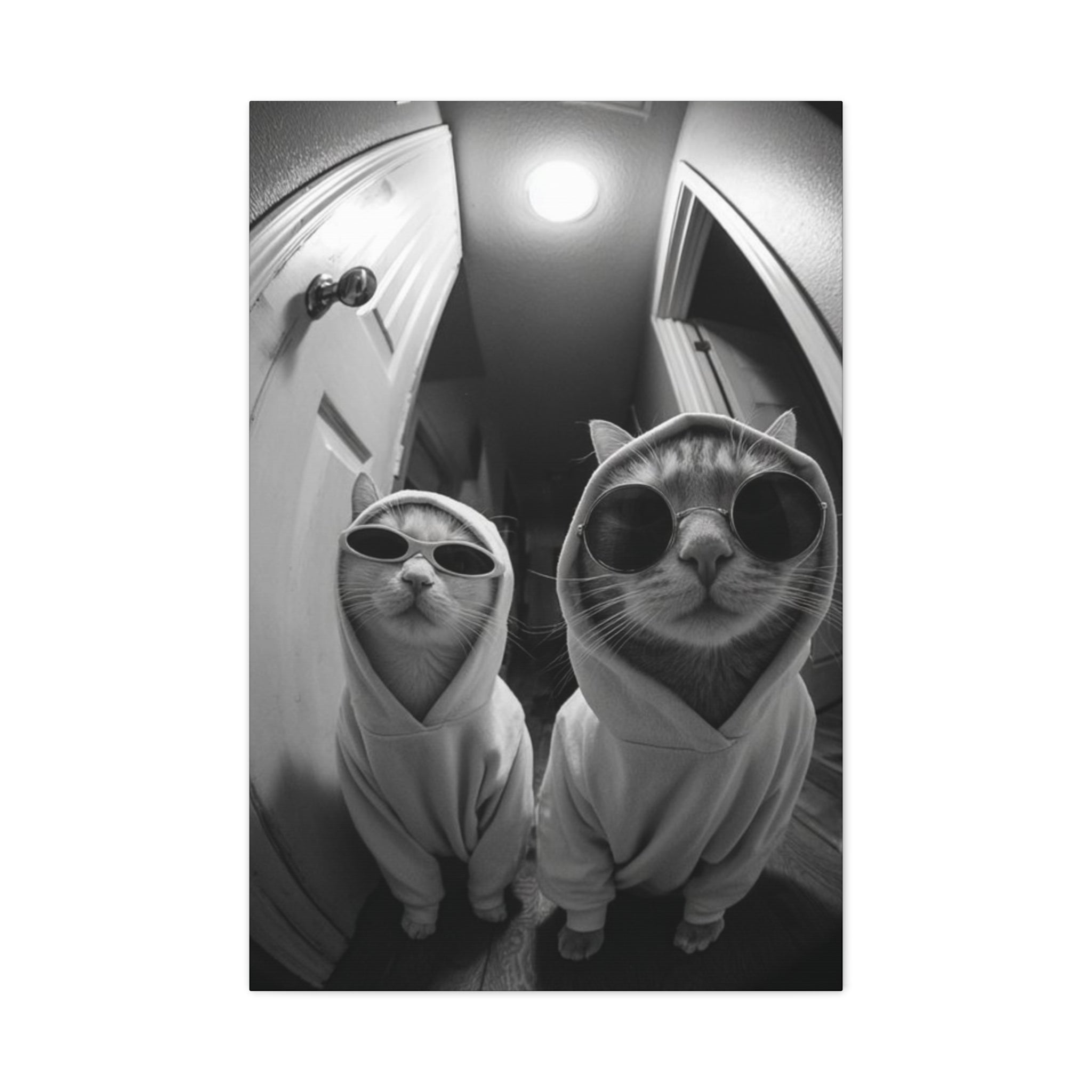 Cool Cats Black & White Matte Canvas Print