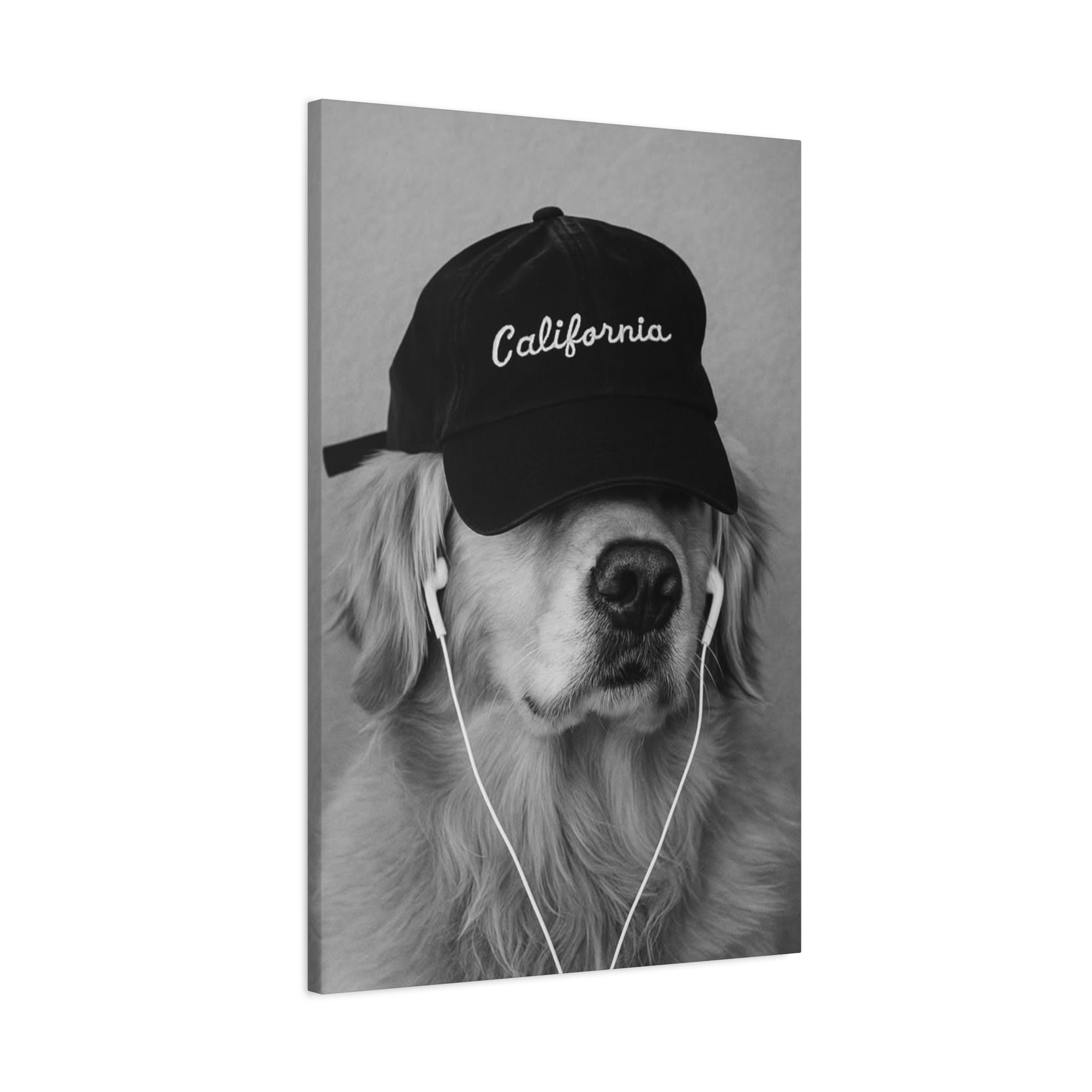 Golden Retriever Wall Art - 'California' Cap Black & White Matte Canvas